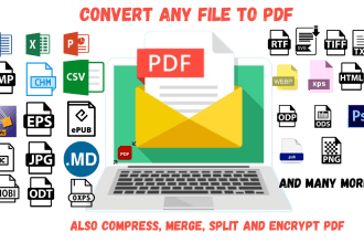 convert pdf to word, pdf to excel data entry typing work job