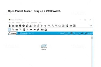 help your ccna, packet tracer projects, and task