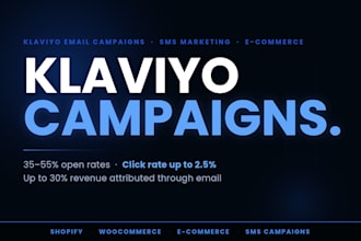 setup and manage klaviyo email campaigns for ecommerce