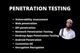 do penetration testing vulnerability assessment with a professional report