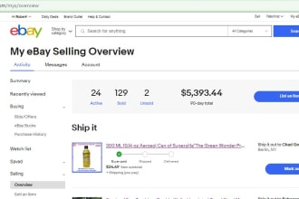 handle your ebay dropshipping account