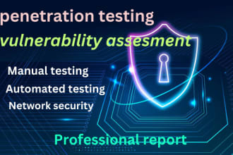 do web penetration testing and vulnerability analysis