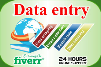 do data entry, web research, data input, email collection, and search data