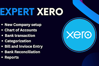 fix xero issues and optimize your bookkeeping process