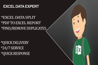 split excel data report, pdf to excel data cleaning