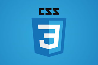make edits to the CSS styles of your website