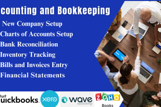 provide expert services using quickbooks online, xero, excel, wave