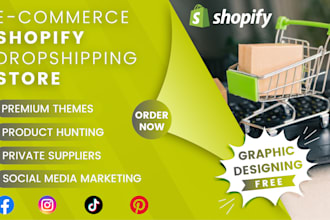 build profitable shopify store, shopify dropshipping store or shopify website