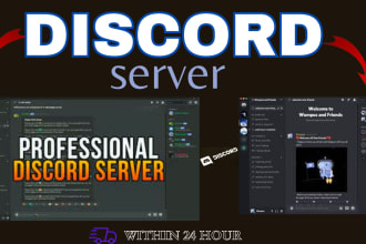 setup new and existing discord server setup within 24 hours