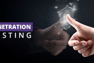 penetration test your website with professional report