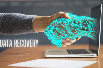 digital forensics, data recovery and cyber crime investigations