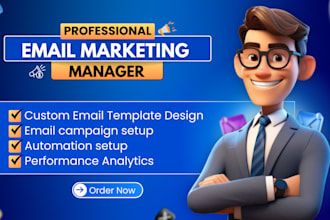 manage your mailchimp and klaviyo email marketing campaign