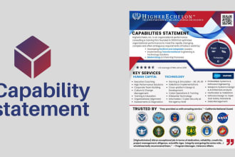 design a professional federal government contract capability statement