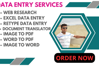 do data entry, convert data, retype, and insert data
