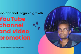be your youtube channel promotion and monetization expert