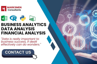 do business analytics, financial analysis and statistical analysis