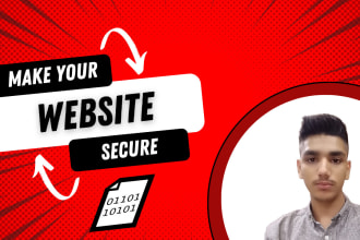 pentest your website  for vulnerabilities