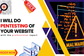 do pentesting of your website with the professional report
