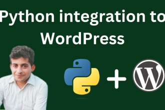 python integration services for your wordpress website
