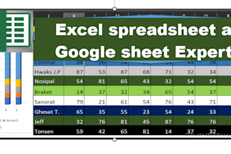 be your assistant as expert in excel spreadsheet, google sheet, data entry
