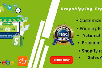 set up shopify store