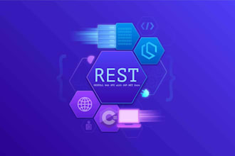 do your net core web API project