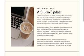 design creative mailchimp email tamplates or newslatter german seller