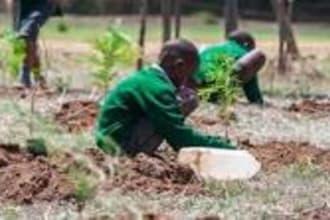 plant a tree in village of kenya with your name tag