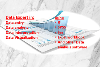 do data analysis using spss, excel, r stata and sas software