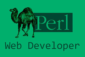 be your perl web developer