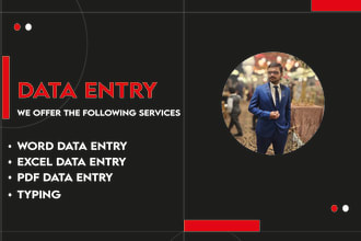 do expert data entry and page typing in excel and word