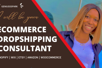 ecommerce shopify dropshipping consultation, shopify coach, ecommerce mentor