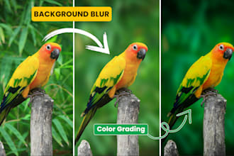 do high quality photo editing with dslr background blur and color grading