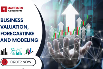 do business valuation, financial forecasting and ratio analysis