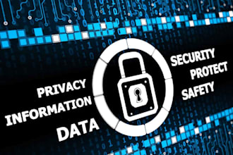 provide experts for security audits and risk analysis