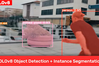 provide machine learning and computer vision solutions