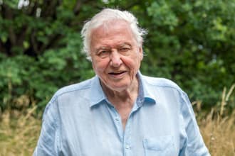 deliver a voice over in the voice of david attenborough