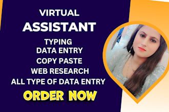 do fast data entry, VA, excel, and admin support work