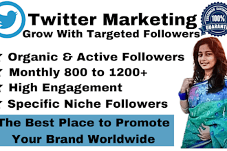 do twitter marketing and promotion for fast organic growth