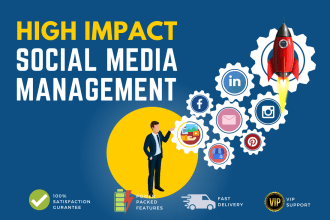 do social media management for immigration business