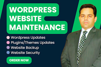 provide wordpress website maintenance and support