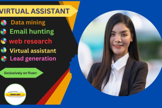 be your virtual assistant for data entry web research and data enrichment