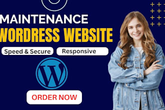 provide maintenance and support for your wordpress website