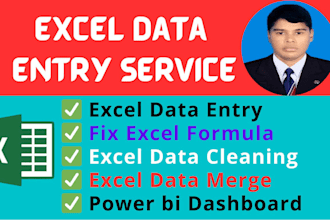 fix excel formula, power bi dashboard, excel data cleaning and formatting