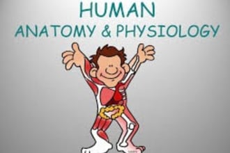 be your tutor in anatomy and physiology
