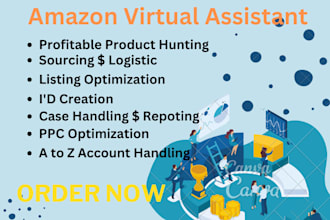 amazon VA seller account manager