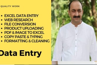 any kind of data entry, excel data entry, web research, admin support