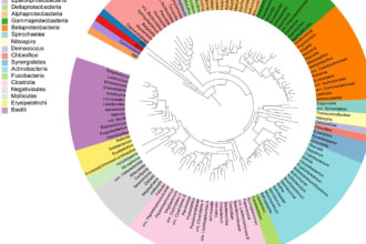 bioinformatics tasks data retrieval, tree construction, dna sequencing