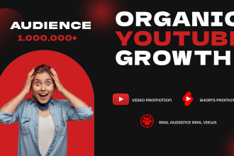 promote your youtube video to niche audience