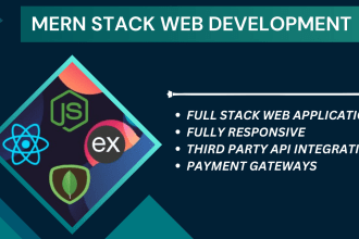 develop websites using mern stack